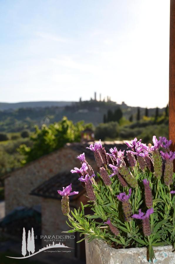 Il Paradisino San Gimignano'S Best Countryside Exteriér fotografie